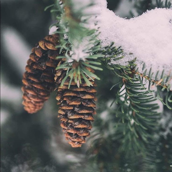 Meet your Posher, Olivia - Picture 1 of 1